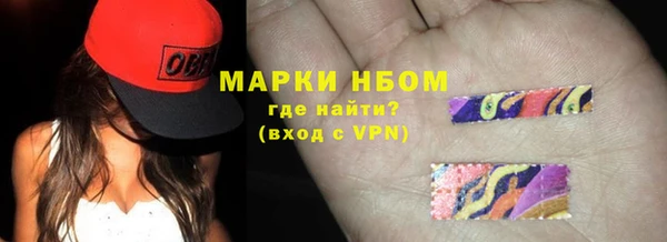 крисы Бородино