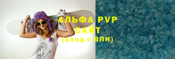 крисы Бородино