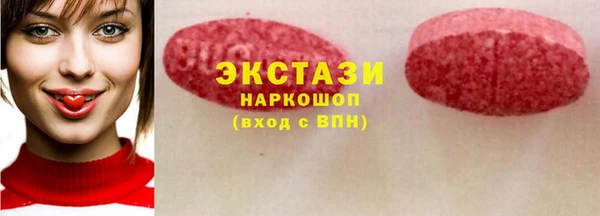 крисы Бородино