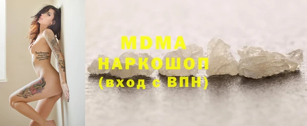 крисы Бородино