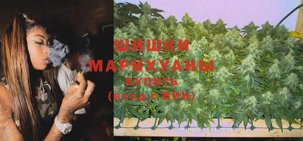 мдпв Верея