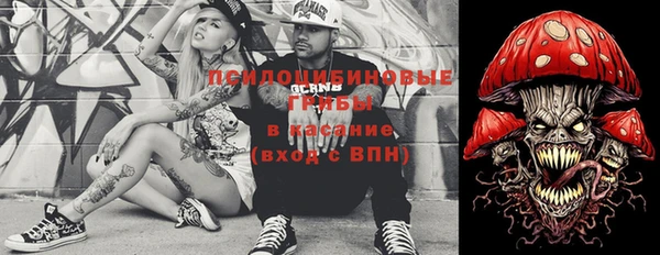 ECSTASY Бронницы