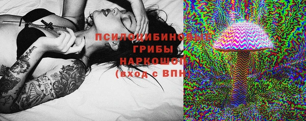 крисы Бородино