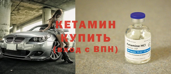 крисы Бородино