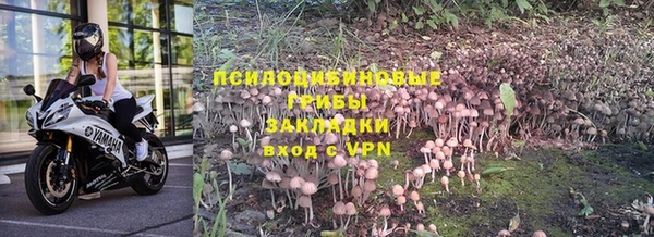 мдпв Верея